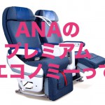 ANAのプレミアムエコノミーを検証よ！座席や機内食とラウンジ は？？